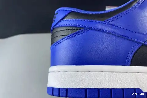 Low Blue and SB CU1726 Black Nike Dunk 006 0521